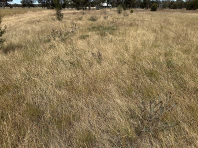 66 Paul Valley Road, Tambellup WA 6320