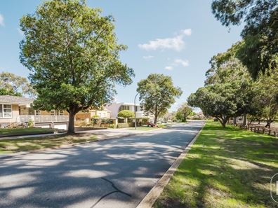 21 Armadale Crescent, Coolbinia WA 6050