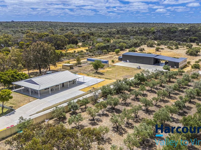11 Tamarisk Drive, Gabbadah WA 6041