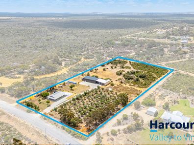 11 Tamarisk Drive, Gabbadah WA 6041