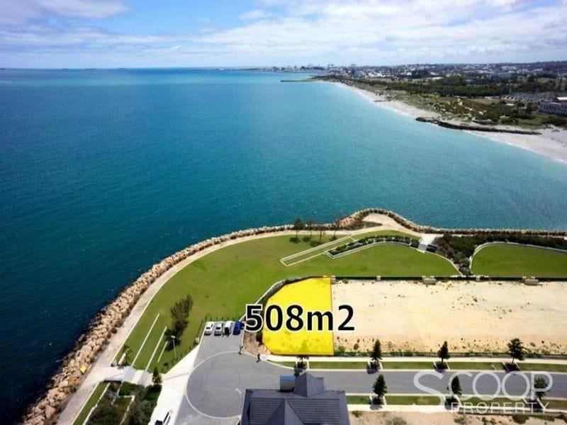 36 Chelydra Point, North Coogee