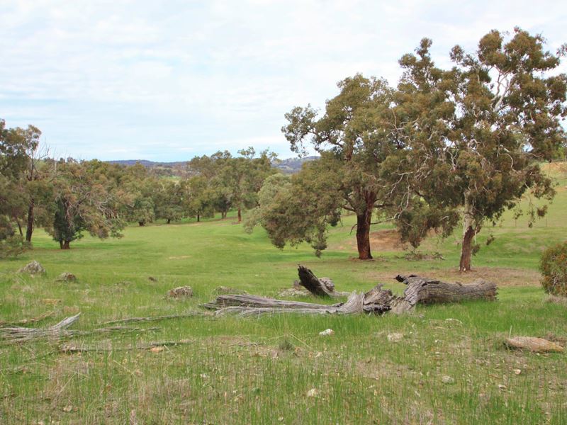 Lot 9061 Honey Close, Bindoon WA 6502