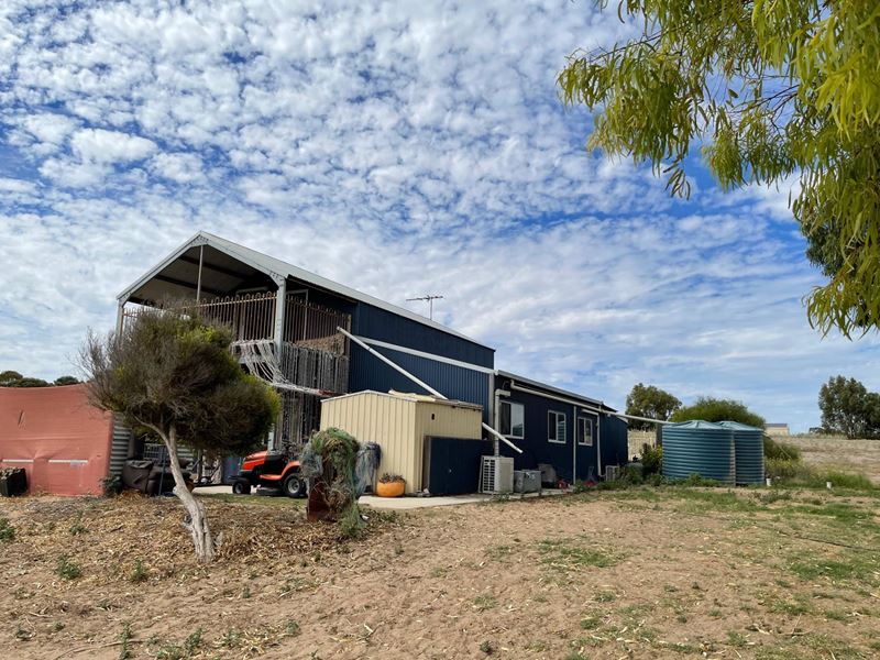 6 Illyarrie Road, Springfield