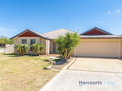 10 Jonquil Loop, Seville Grove WA 6112