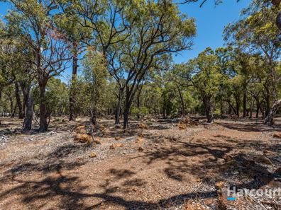 310 Maine-Anjou Drive, Lower Chittering WA 6084