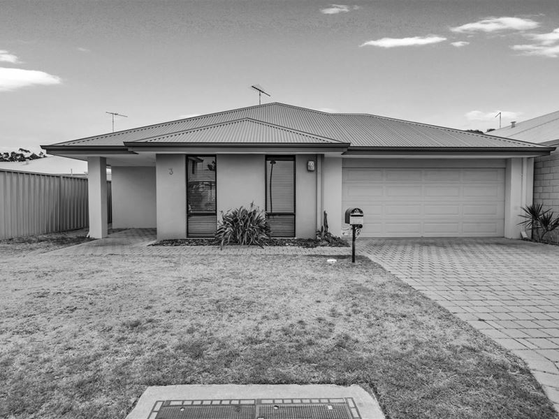 3 Kardan Loop, Falcon