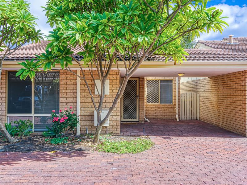 8/49 Mosaic Street E, Shelley