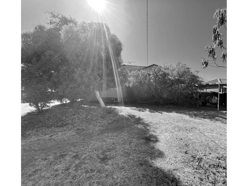 254 Flamborough Street, Doubleview WA 6018