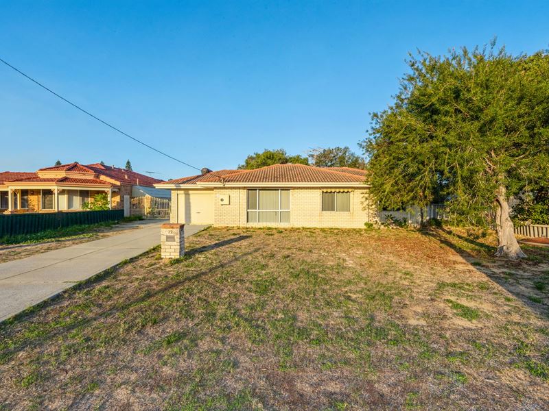 12 Dutton Way, Singleton