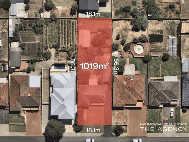 30 Alexander Street, Balcatta