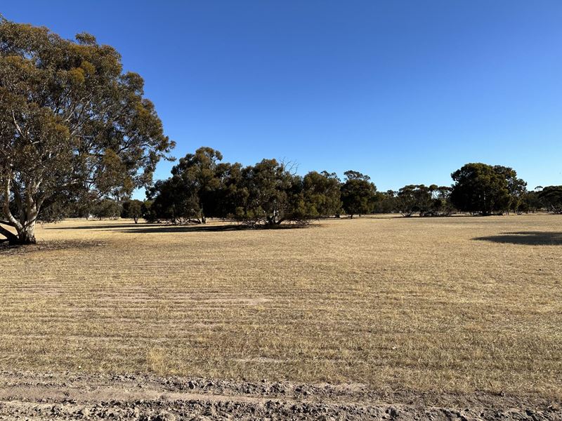Lot 135,  Temby  Street, Tambellup