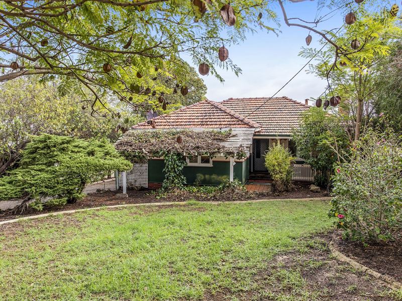 19 Tredale Avenue, Mount Richon