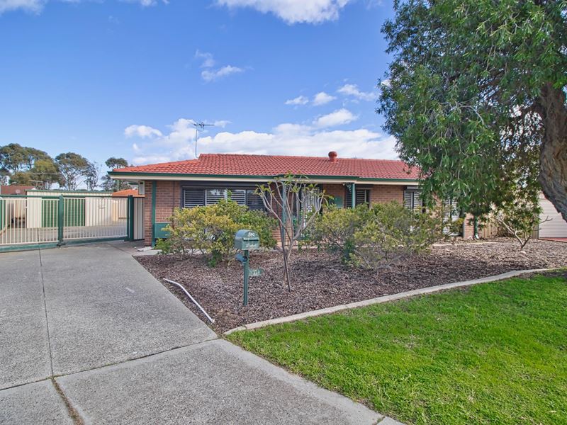 11 Hamersley Court, Cooloongup WA 6168