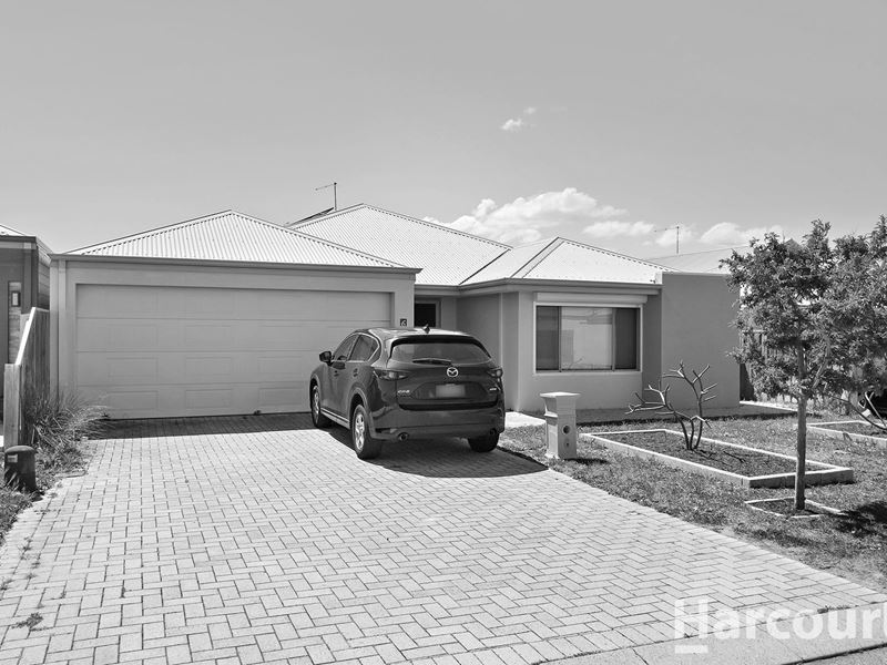 6 Venulosa Avenue, Halls Head WA 6210