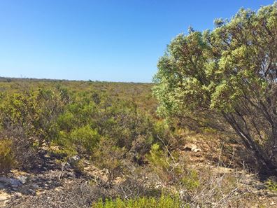 Lot 405 Ridge Way, Jurien Bay WA 6516