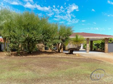 39 Oberthur Crescent, Bull Creek WA 6149