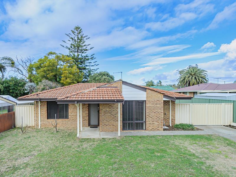 29 Steedman Loop, Mirrabooka WA 6061