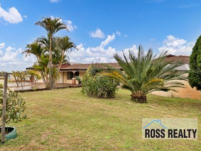 31 Belstead Avenue, Noranda WA 6062