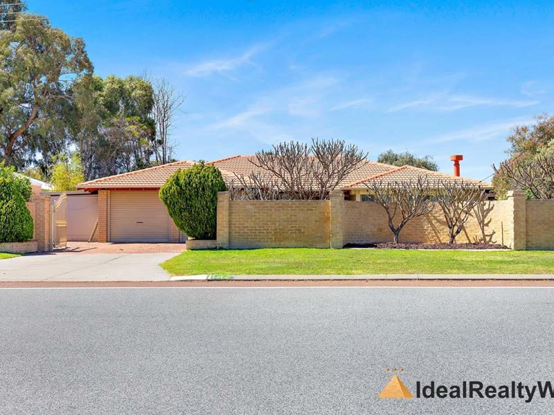 142 Rostrata Avenue, Willetton