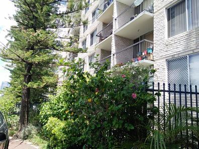 17/133 Lincoln Street, Highgate WA 6003