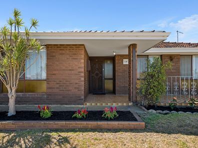 39 Chesterton Street, Spearwood WA 6163