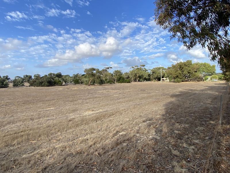 23A Trant Road, Moresby