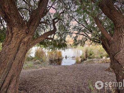 2/26 Westralia Gardens, Rockingham WA 6168
