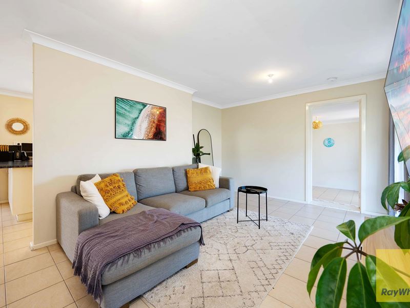 231 Gibson Avenue, Padbury