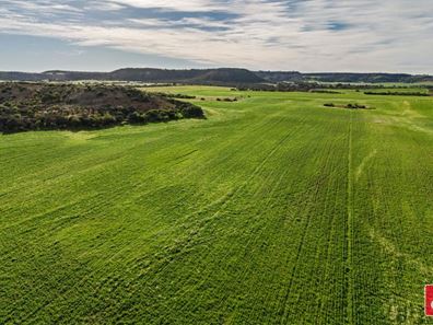 Lot 55 Starling  Road, Bowes WA 6535