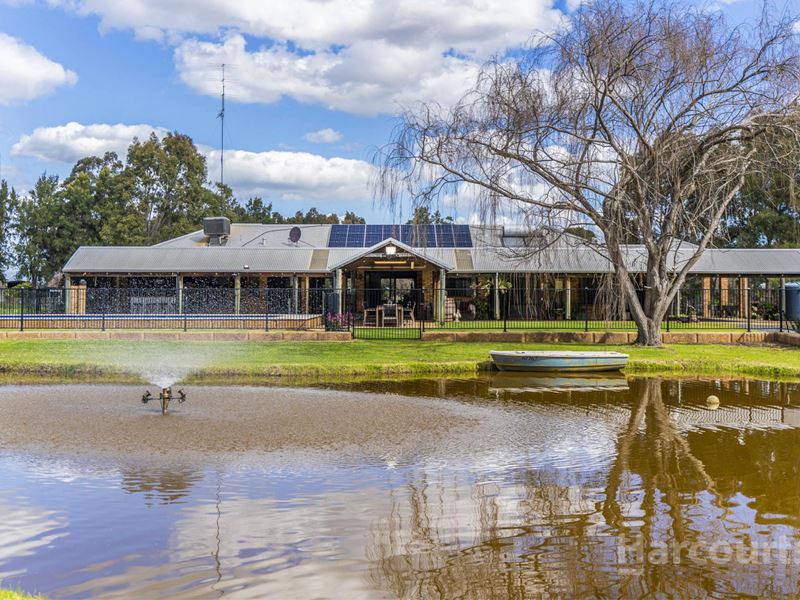 20 Sheridan Place, Waroona WA 6215