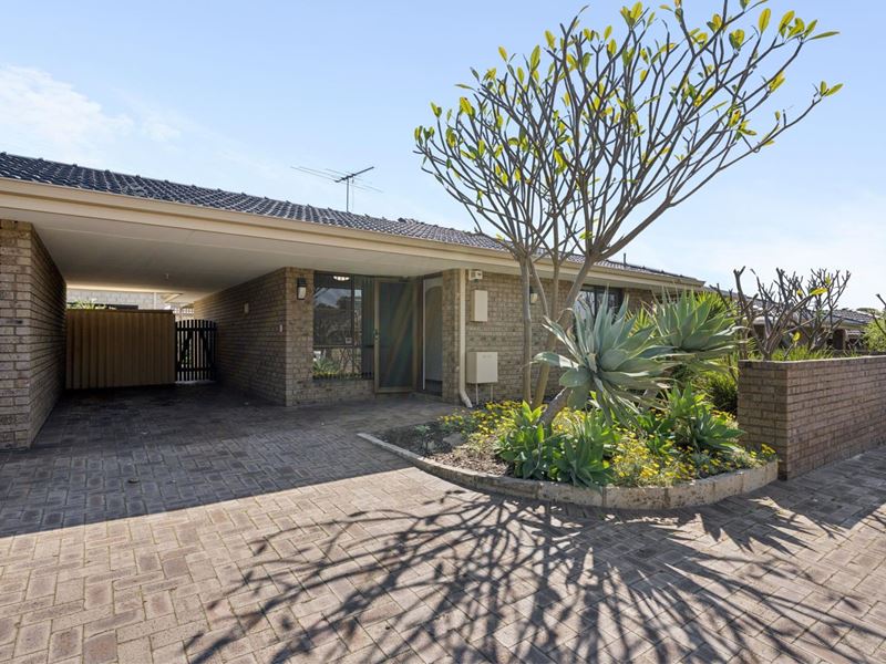 10/71-73 Corbel Street, Shelley WA 6148