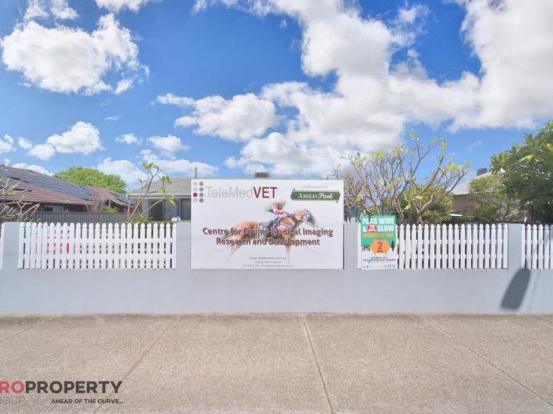 44 Epsom Avenue, Ascot WA 6104