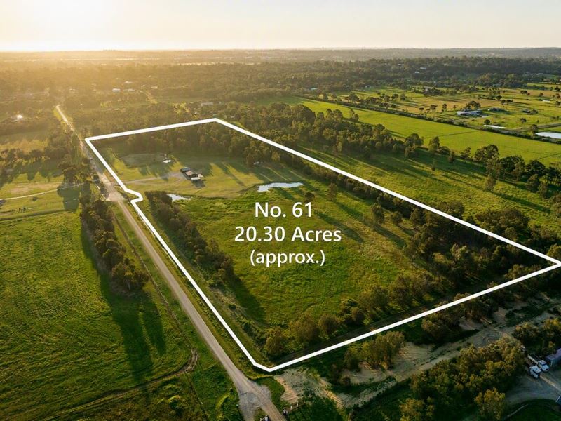 61 Maldive Court, Baldivis WA 6171
