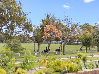 56 Monyash Road, Carine WA 6020