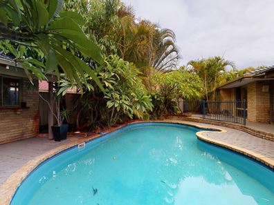 36 Bottlebrush Dr, Thornlie WA 6108