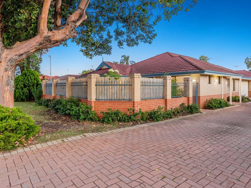 62A Wandarrie Avenue, Yokine WA 6060