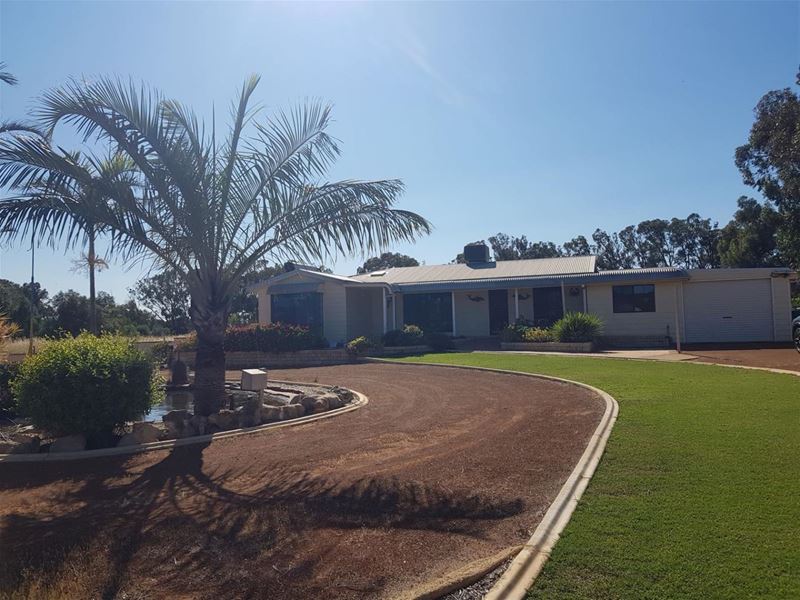 48 Tulloch Dve, Dongara