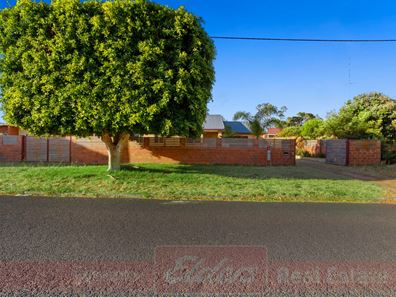 42 ISLAND QUEEN STREET, Withers WA 6230