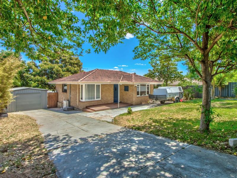 81 Orelia Avenue, Orelia
