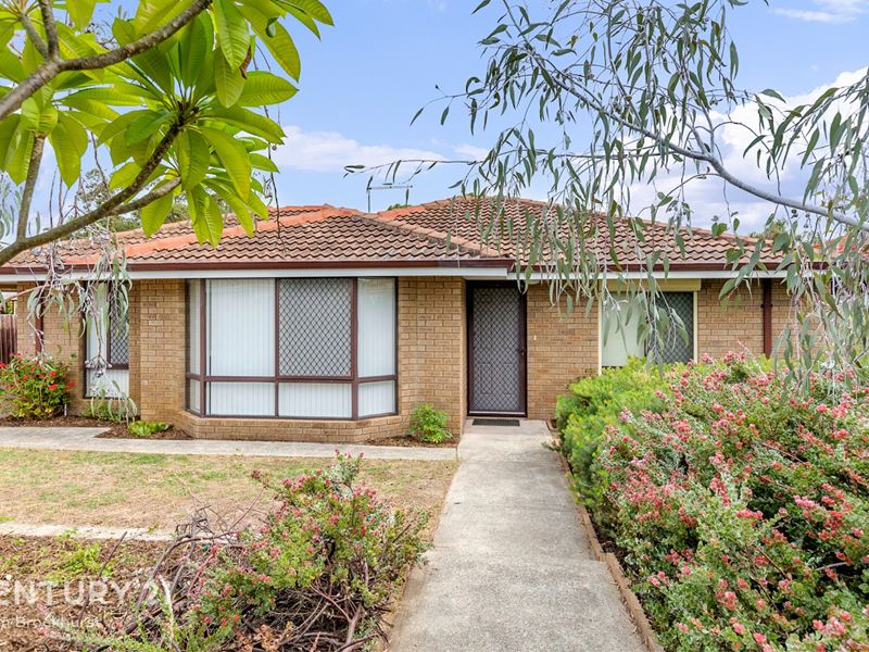 97 Wilfred Road, Thornlie