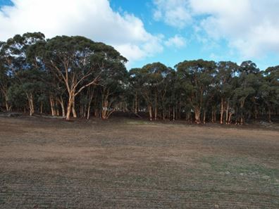 Lot 6494 Talbot  Road, Talbot WA 6302