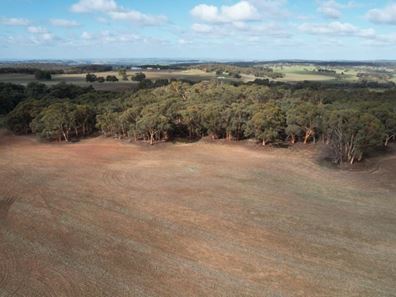 Lot 6494 Talbot  Road, Talbot WA 6302