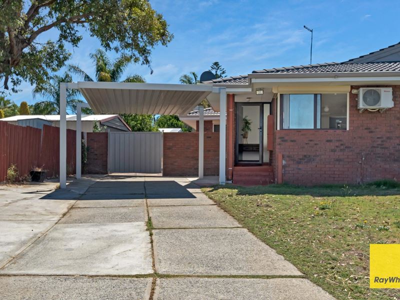 11A Steedman Loop, Mirrabooka WA 6061