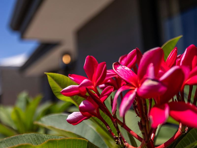 3 Argo Way, Harrisdale