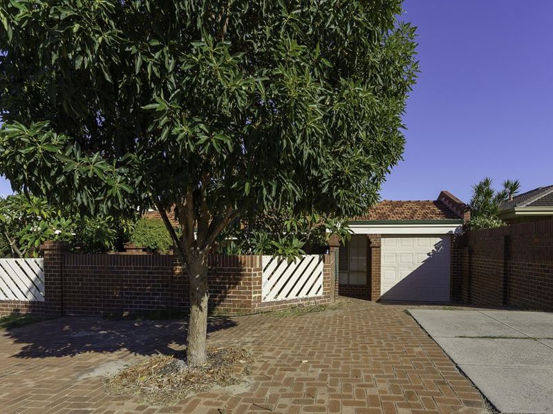 3 Dibb Street, Balcatta