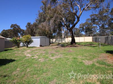 19 Arthur Street, Darkan WA 6392