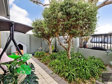 8 Illyarrie Avenue , Falcon WA 6210