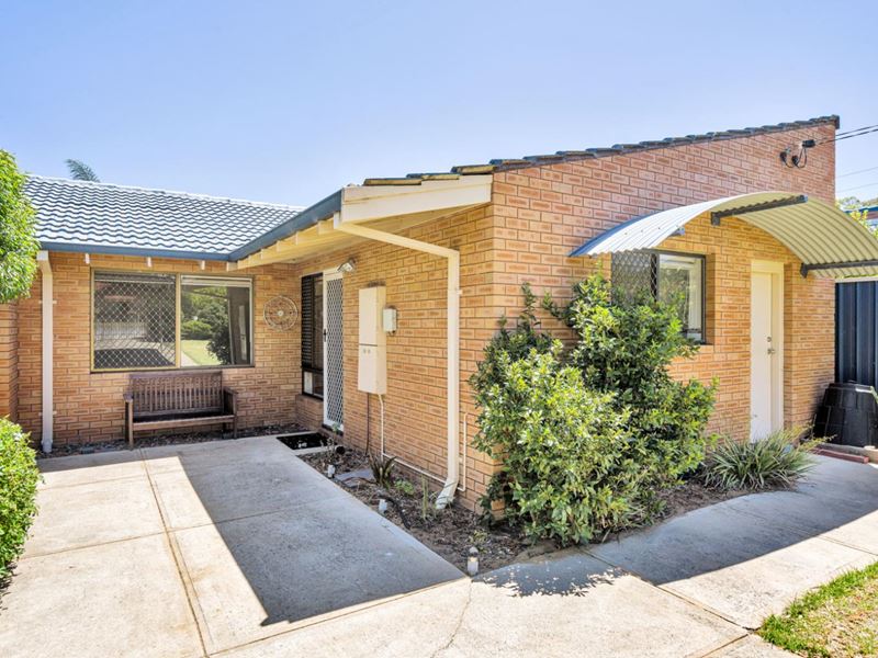 19 Helena Place, Hamilton Hill WA 6163