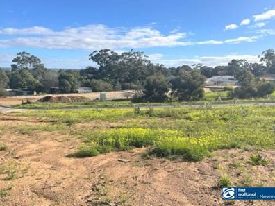 Lot 186, 40 Arundle Avenue, Greenmount WA 6056