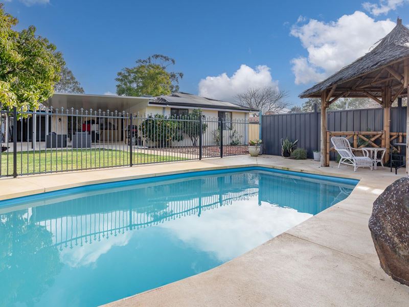 15 Walcha Way, Armadale WA 6112